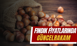 31 Ocak 2025 Fındık Fiyatları: Ordu’da Fındık Bugün Ne Kadar?