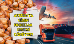 Avrupa’dan Fındıklar Geri Mi Dönüyor?