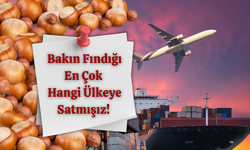 Bakın Fındığı En Çok Hangi Ülkeye Satmışız!