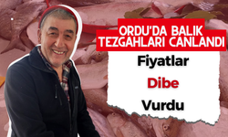 Ordu'da Balık Tezgahları Canlandı, Fiyatlar Dibe Vurdu