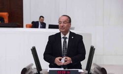 CHP’li Akay, ıslah çalışmalarını gündeme taşıdı