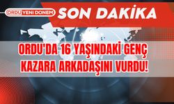 Ordu’da 16 Yaşındaki Çocuk Kazara Arkadaşını Vurdu!