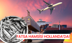 Fatsa Hamsisi Hollanda’da!