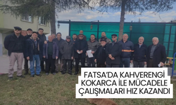 Fatsa’da Kahverengi Kokarca ile Mücadele Çalışmaları Hız Kazandı