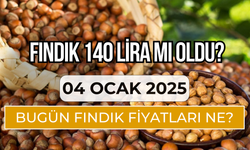 Fındık 140 Lira Mı Oldu? 04 Ocak 2025 Fındık Fiyatları…