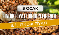 Fındık Fiyatı Arttı! 3 Ocak Serbest Piyasada İl İl Fındık Fiyatları!