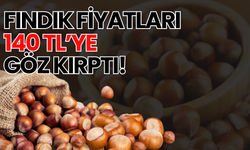 Fındık Fiyatları 140 TL’ye Göz Kırptı! 13 Ocak Fındık Fiyatları...