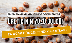 Fındık Fiyatları Yükselmeye Devam Ediyor, Üreticinin Yüzü Güldü! 24 Ocak Güncel Fındık Fiyatları