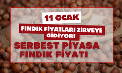 Fındık Fiyatları Yükseliyor! 11 Ocak Serbest Piyasa Fındık Fiyatları