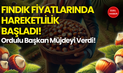 Fındık Fiyatlarında Hareketlilik Başladı! Ordulu Başkan Müjdeyi Verdi!