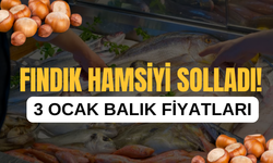 Fındık Hamsiyi Solladı!