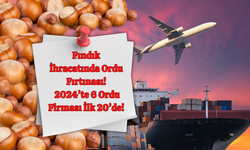 Fındık İhracatında Ordu Fırtınası: 2024’te 6 Ordu Firması İlk 20’de!