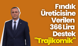 Fındık Üreticisine Verilen 366 Lira Destek "Trajikomik"