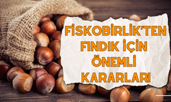 Fiskobirlik’ten Fındık İçin Önemli Kararlar!