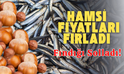 Hamsi Fiyatları Fırladı, Fındığı Solladı!