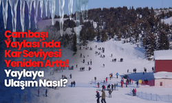 Çambaşı Yaylası'nda Kar Seviyesi Arttı! Yaylaya Ulaşım Nasıl?