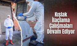 Kumru’da Kahverengi Kokarca ile Etkin Mücadele Devam Ediyor