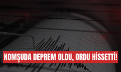 Komşuda Deprem Oldu, Ordu Hissetti!