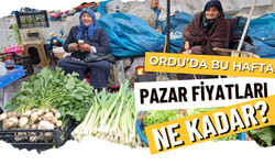 Ordu’da Bu Hafta Pazar Fiyatları Ne Kadar?