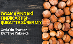 Ocak Ayındaki Fındık Artışı, Şubat’ta Sürer mi? Ordu’da Fiyatlar 132 TL’ye Yükseldi