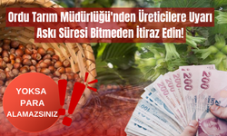 Ordu Tarım Müdürlüğü'nden Üreticilere Uyarı: Askı Süresi Bitmeden İtiraz Edin!