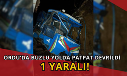 Ordu’da Buzlu Yolda Patpat Devrildi: 1 Yaralı!