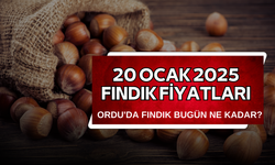 20 Ocak 2025 Fındık Fiyatları: Ordu'da Fındık Bugün Ne Kadar?