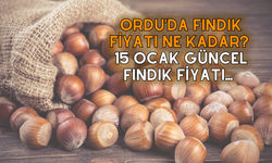 Ordu’da Fındık Fiyatı Ne Kadar? 15 Ocak Güncel Fındık Fiyatı…