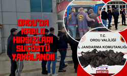 Ordu’da Kablo Hırsızları Suçüstü Yakalandı!