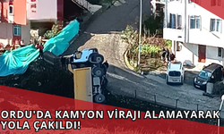 Ordu'da Kamyon Virajı Alamayarak Yola Çakıldı!