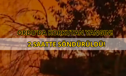 Ordu’da Korkutan Yangın! 2 Saatte Söndürüldü!