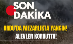 Ordu’da Mezarlıkta Yangın! Alevler Korkuttu!