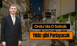 Ordu’da O Sokak Yıldız gibi Parlayacak