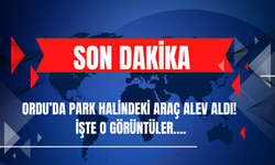 Ordu’da Park Halindeki Araç Alev Aldı! İşte O Görüntüler….