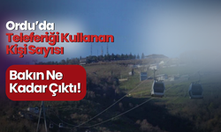 Ordu’da Teleferiği Kullanan Kişi Sayısı Bakın Ne Kadar Çıktı!