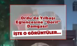 Ordu’da Yılbaşı Eğlencesine “Goril” Damgası! İşte O Görüntüler…