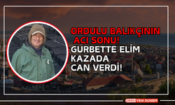 Ordulu Balıkçının Acı Sonu! Gurbette Elim Kazada Can Verdi!