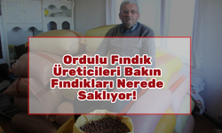 Ordulu Üreticiler Bakın Fındıkları Nerede Saklıyor!