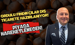 Ordulu Fındıkçılar Dış Ticarete Hazırlanıyor! Piyasa Hareketlenecek!