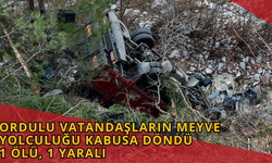 Ordulu Vatandaşların Meyve Yolculuğu Kabusa Döndü: 1 Ölü, 1 Yaralı