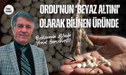 Ordu’nun ‘Beyaz Altını’ Olarak bilinen Üründe Beklenenin Altında Hasat Gerçekleşti!