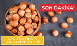 Son Dakika! Ordu’da Fındık Fiyatları Yükseldi!