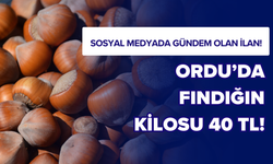 Sosyal Medyada Gündem Olan İlan! Ordu’da Fındığın Kilosu 40 TL!