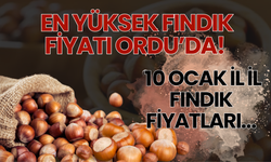 En Yüksek Fındık Fiyatı Ordu’da! 10 Ocak İl İl Fındık Fiyatları…