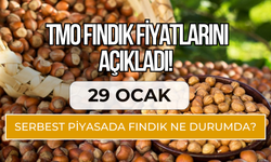 TMO Fındık Fiyatlarını Açıkladı! Serbest Piyasada Fındık Ne Durumda?