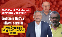 Fındık Fiyatları Yükselirken TMO Neden Satışa Başladı?