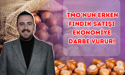 TMO’nun Erken Fındık Satışı Ekonomiye Darbe Vurur!