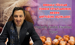 Tüccar Fındık Fiyatlarının Neden Arttığını Açıkladı! Ordu’da Fındık Fiyatları Ne Durumda!