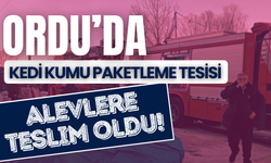 Ünye’de kedi kumu paketleme tesisi alevlere teslim oldu!