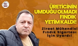 Üreticinin Umduğu Olmadı, Fındık Yetim Kaldı!